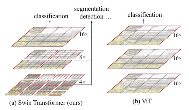 A Practical Guide to Vision Transformers: How ViT Changed Computer Vision