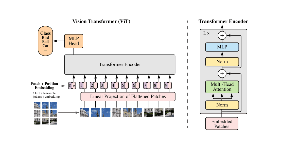 A Practical Guide to Vision Transformers: How ViT Changed Computer Vision