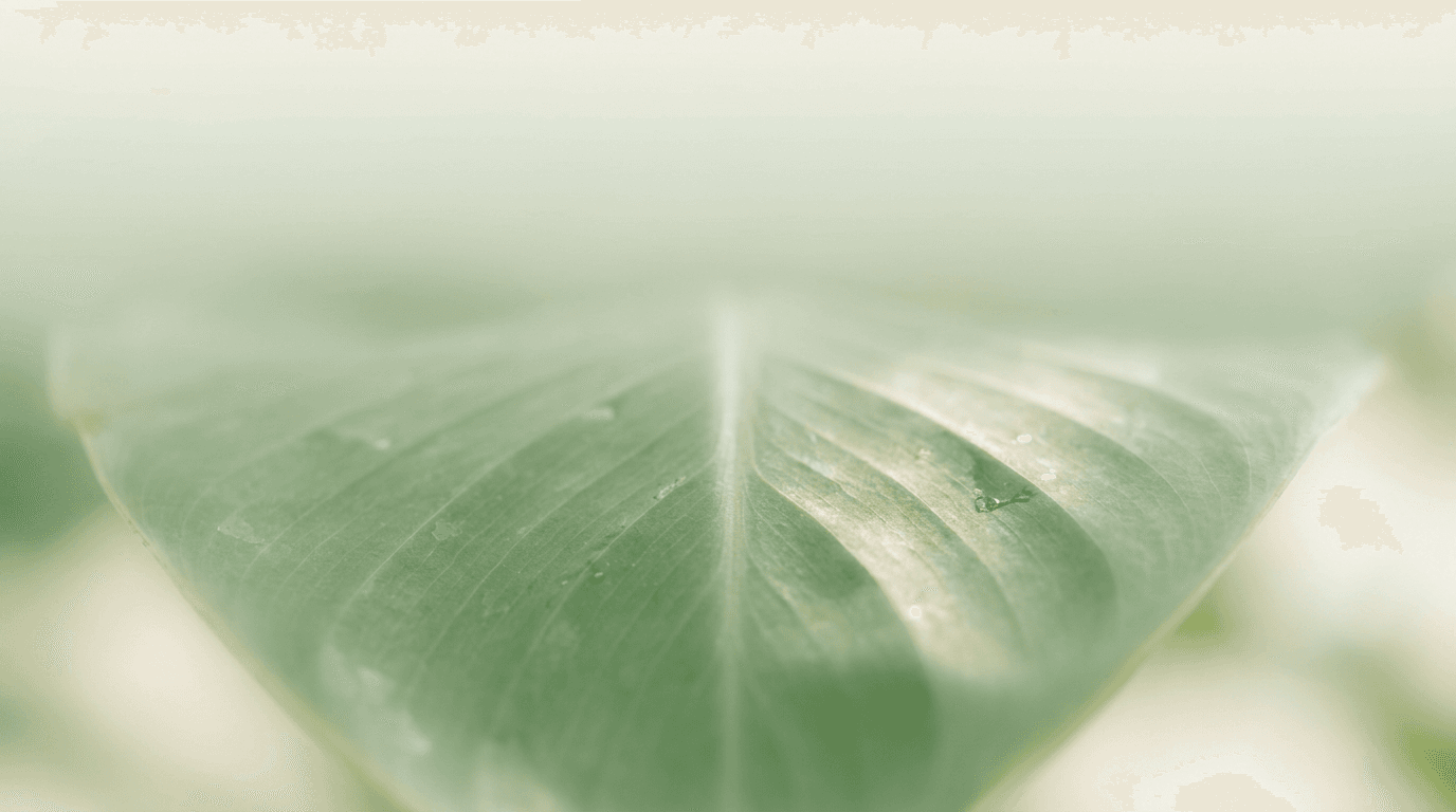 wellness-cover.png